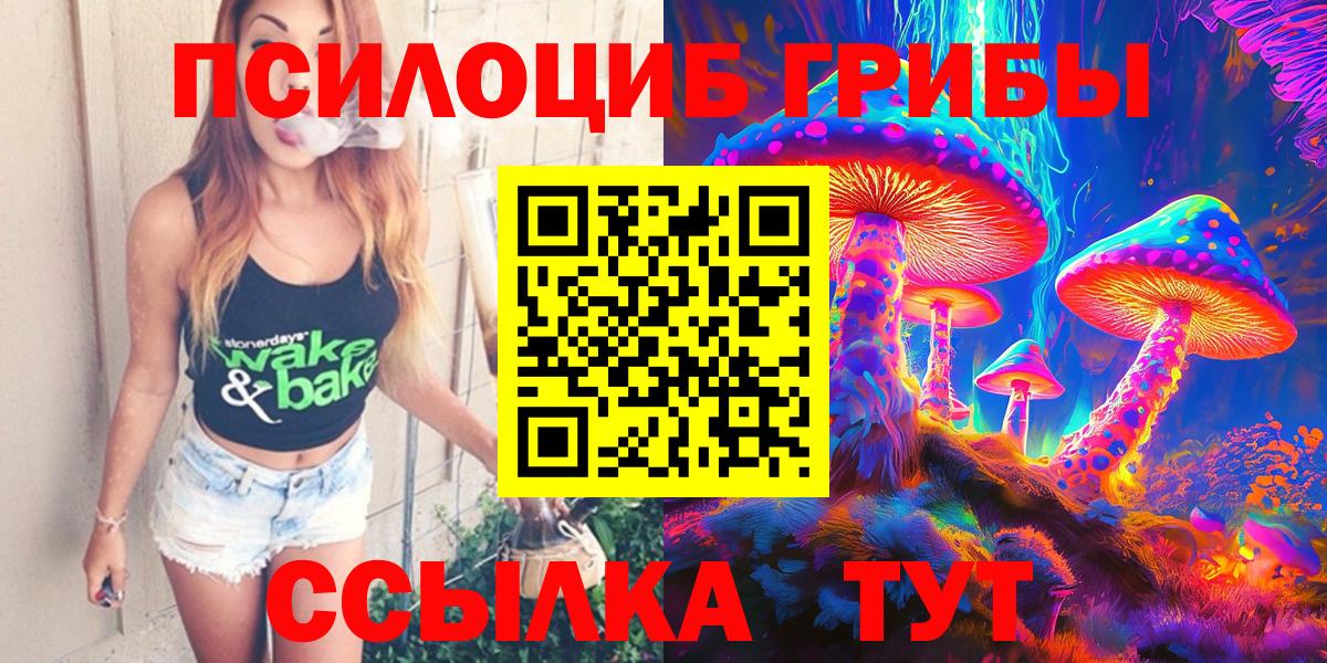 Галлюциногенные грибы Psilocybine cubensis Дербент