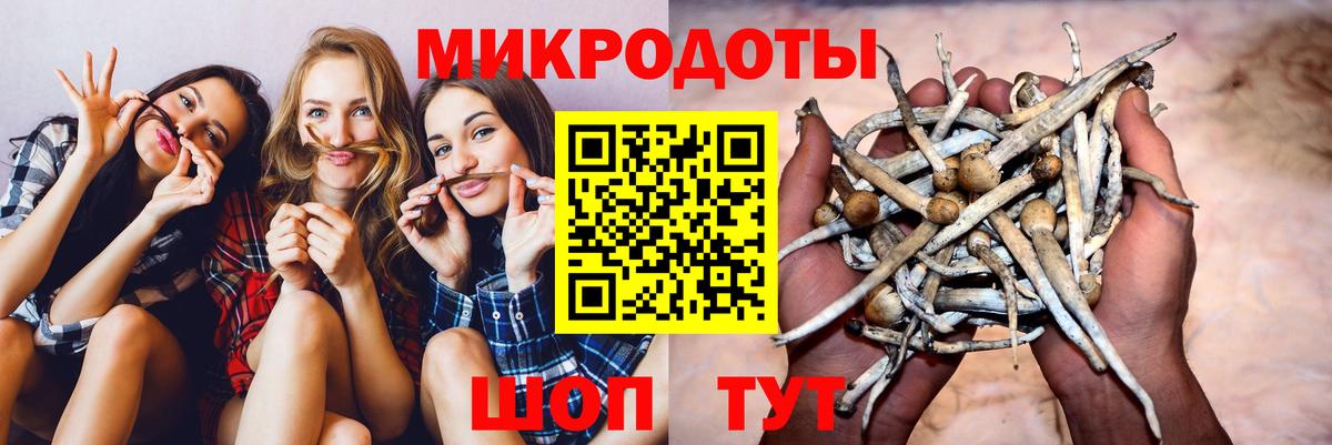 Дербент  Галлюциногенные грибы MAGIC MUSHROOMS  Вход с VPN 